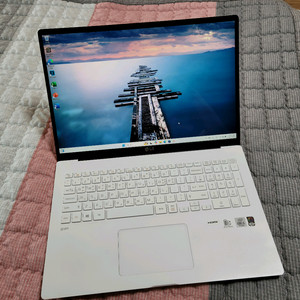 LG그램노트북 17Z90N i5 10세대,16/512G