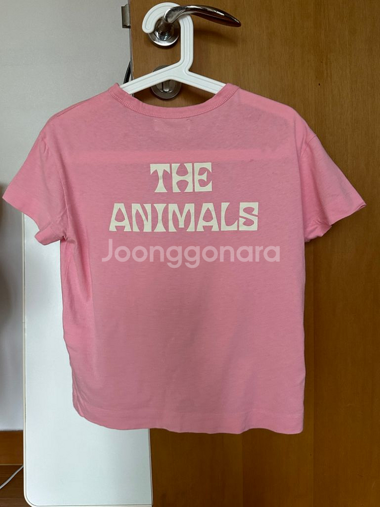 the animal observatory 여아반팔티--0