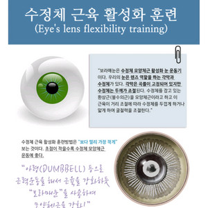 보라매눈 시력운동 안경