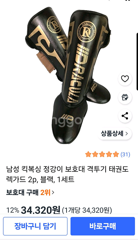 레그가드--1