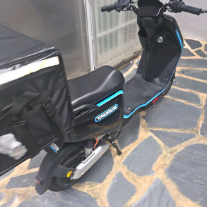 타우러스 ES 듀얼
