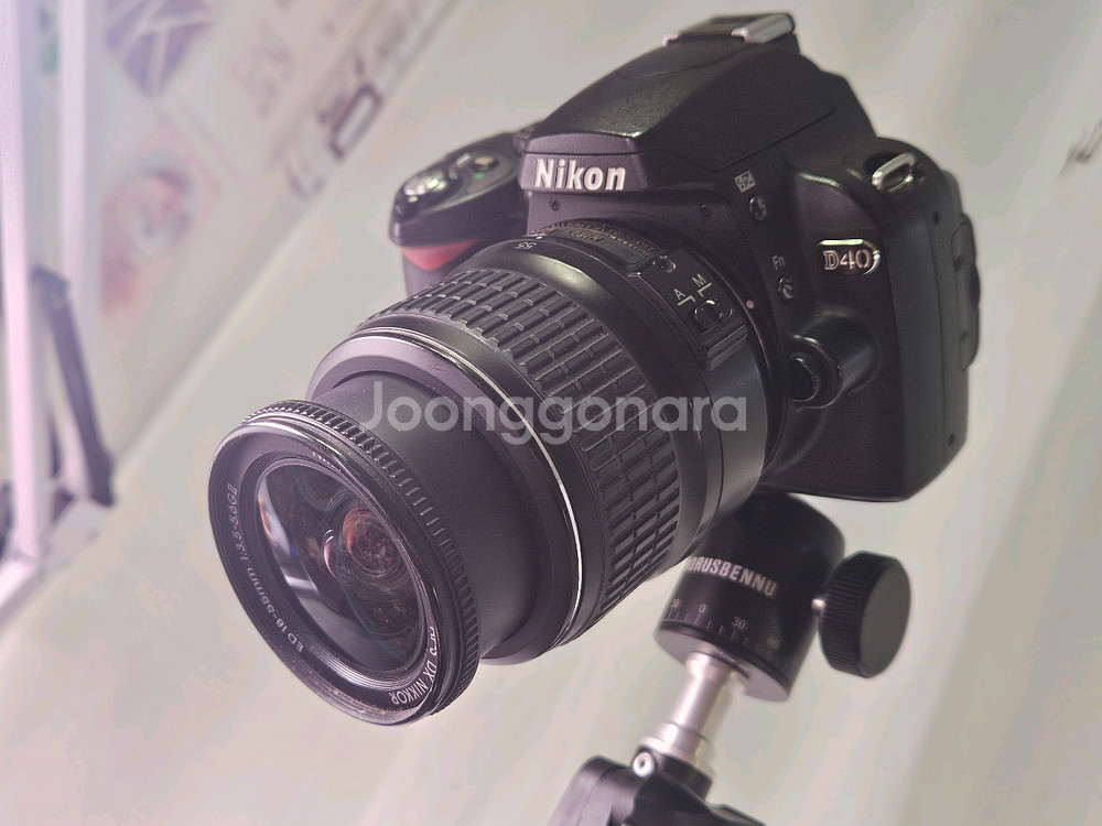 D40 + 번들렌즈--1