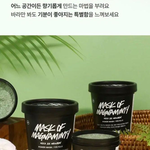 LUSH 슈렉팩 125g(새상품 무료배송)