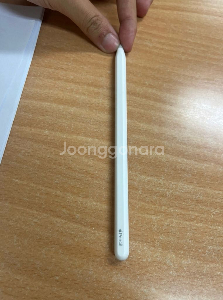 애플펜슬--1