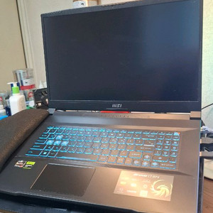 MSI Bravo 17 게이밍 노트북 32gb,1테라