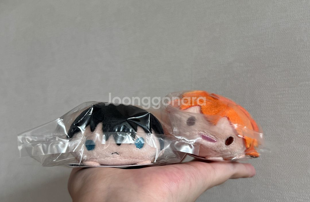 하이큐 노루캬라 히나타 카게야마 세컨드 왕관--3