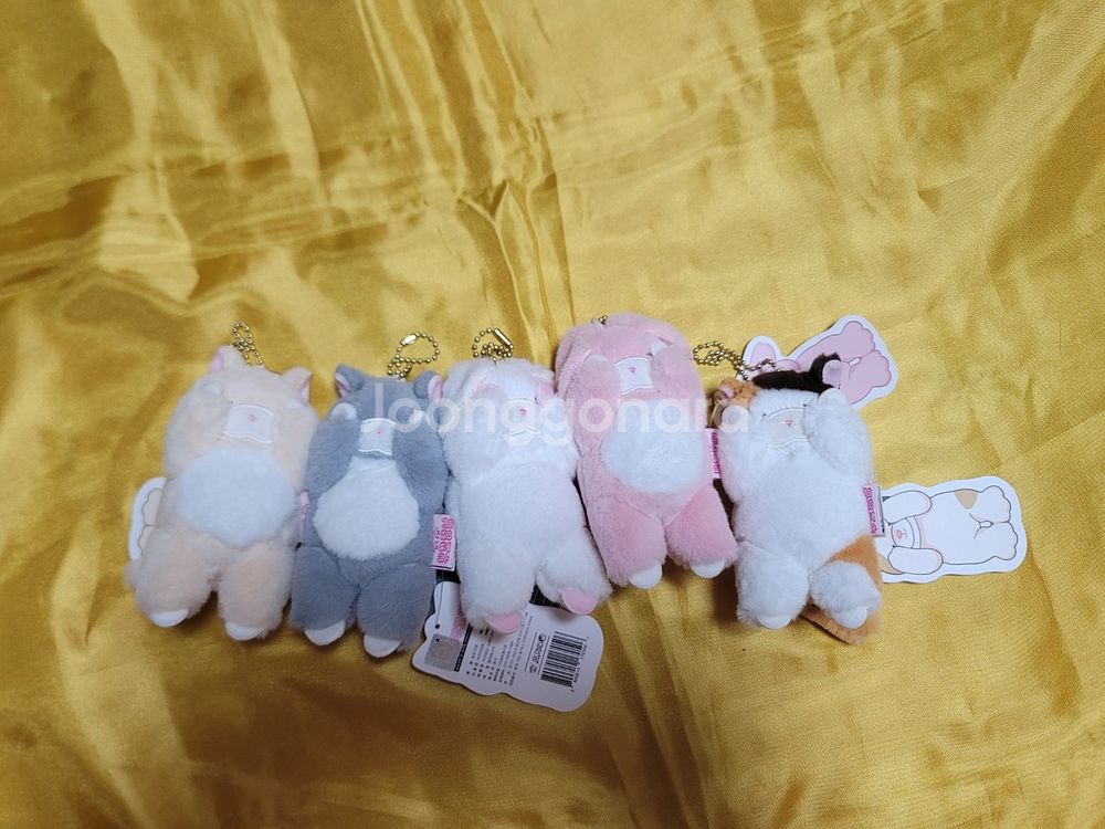 부끄럽냥, 부끄러버 고양이, 토끼 인형--0
