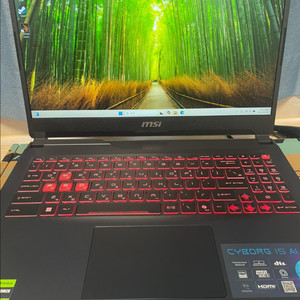 MSI Cyborg 15 AI 게이밍 노트북 4060