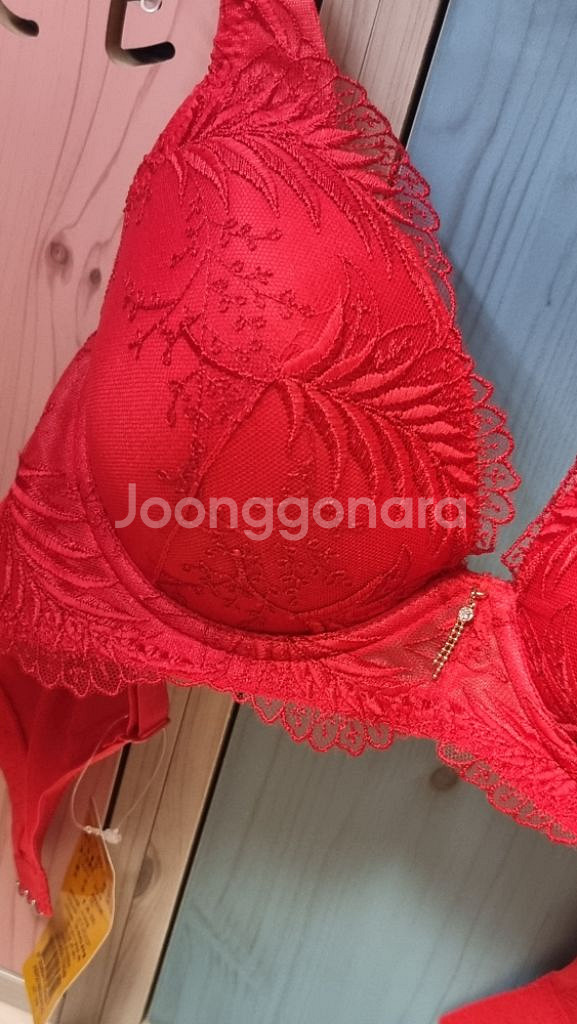 샤빌 레드 큐빅 자수 레이스 브래지어 80C--1