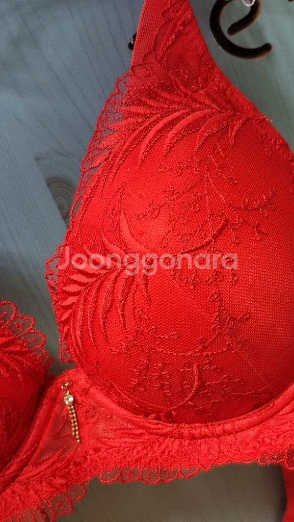 샤빌 레드 큐빅 자수 레이스 브래지어 80C--3