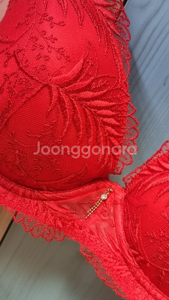 샤빌 레드 큐빅 자수 레이스 브래지어 80C--4