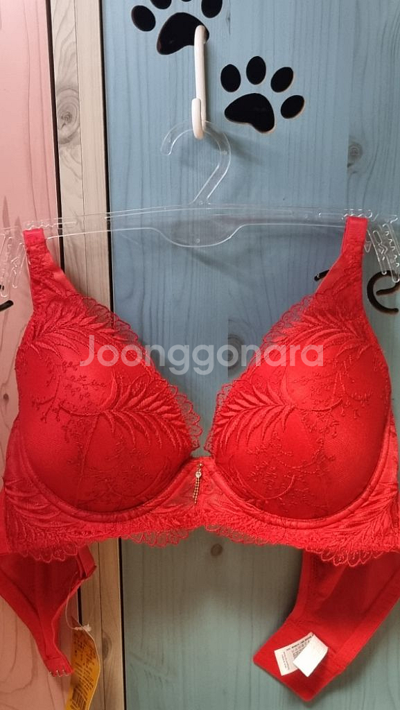 샤빌 레드 큐빅 자수 레이스 브래지어 80C--5