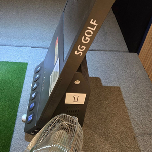 SG골프 연습 기계 판매 250만원