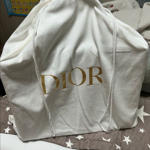 디올 Book Tote 미디엄 백 (사이트) 블루
