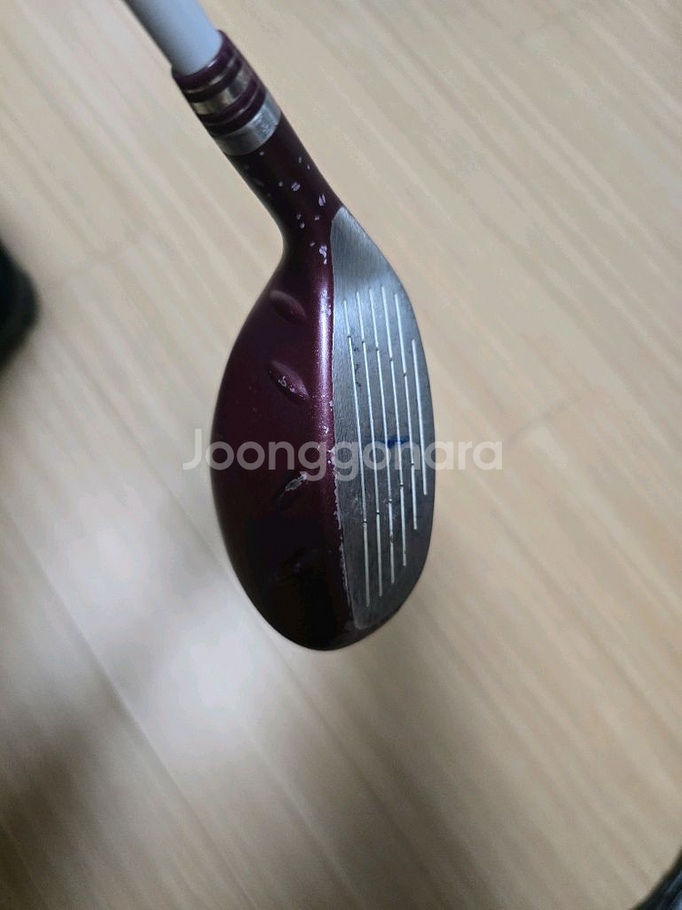 핑 GLE2 여성 유틸리티 5번 26도--1