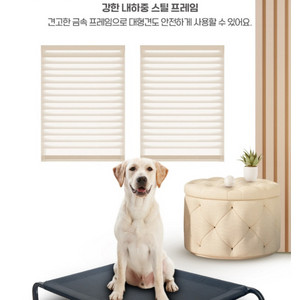 반려동물 메쉬 침대
