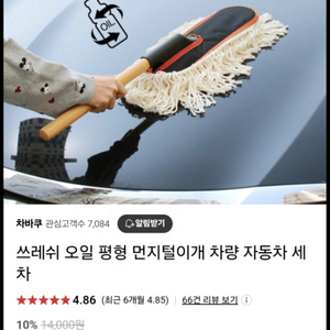 자동차 먼지 털이개