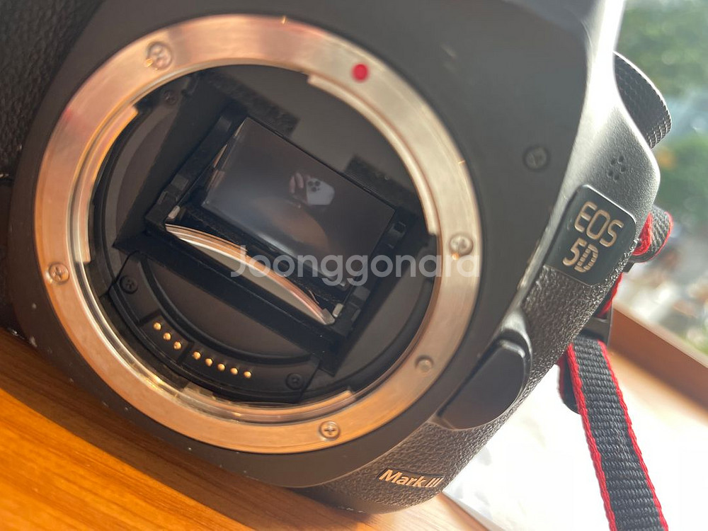 eos 5d mark3+24-70mm렌즈--3