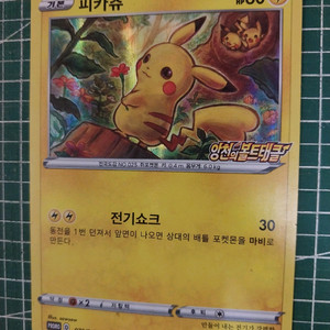 포켓몬카드 피카츄 프로모 (앙천)