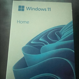 마이크로소프트 Windows 11 Home FPP 정품