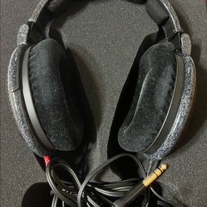 hd600