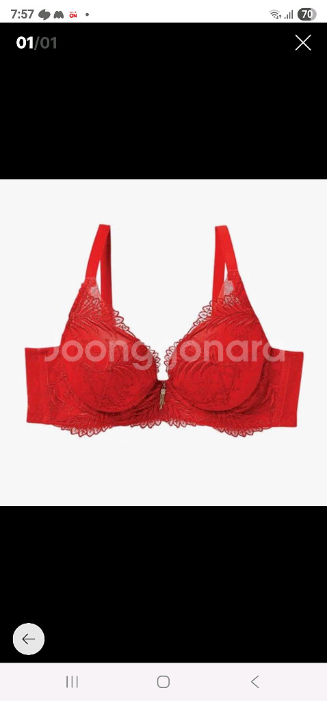 샤빌 레드 큐빅 자수 레이스 브래지어 80C--7