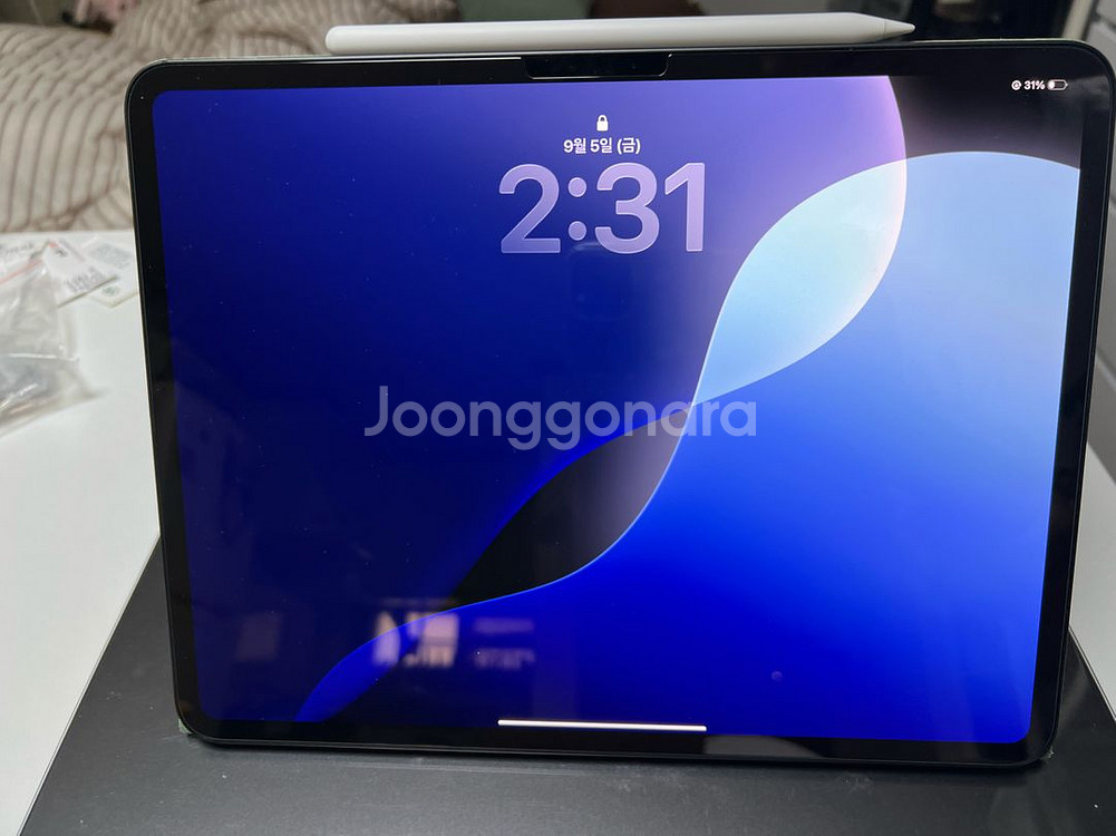 아이패드 프로 m4 13인치 스페이스그레이 wifi--1