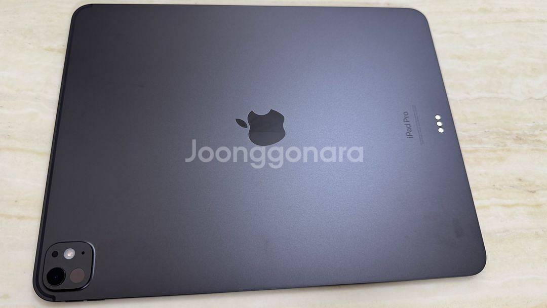 아이패드 프로 13 m4 256gb--9