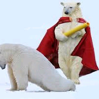 펨코 에펨코리아 1.4만 포인트