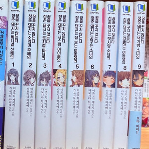 청춘돼지 시리즈 1~9권(7권 특별판),역내청12~14