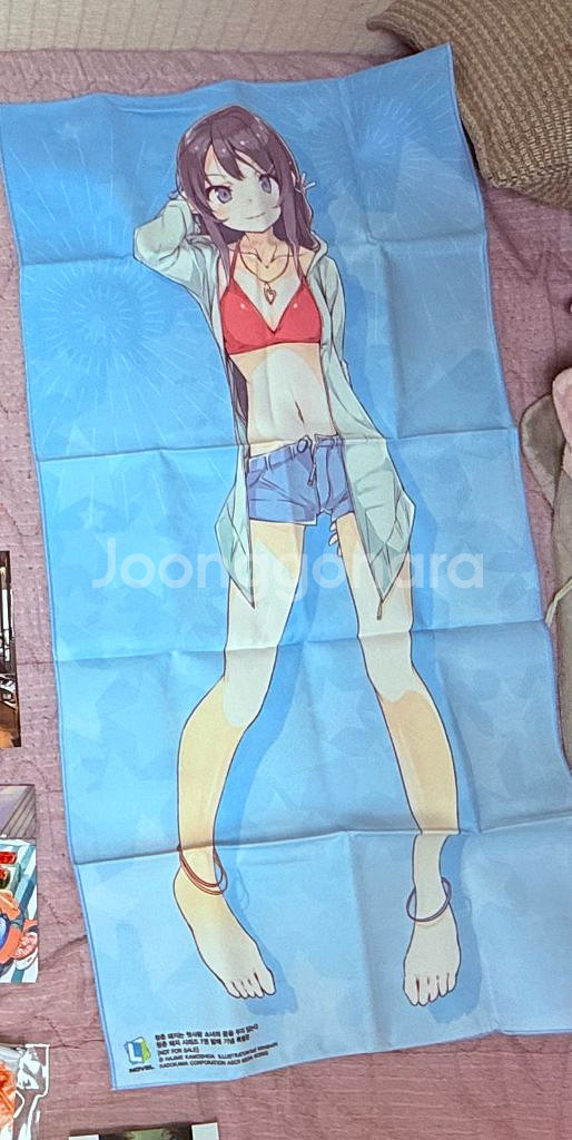 청춘돼지 시리즈 1~9권(7권 특별판),역내청12~14--2