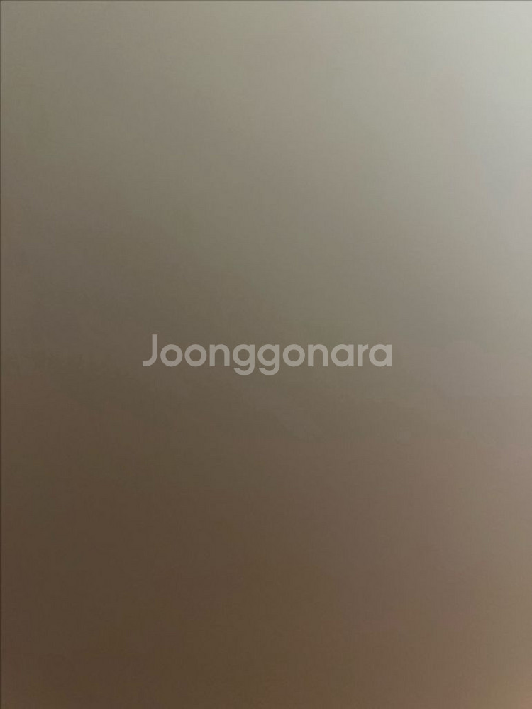 내야 글러브 삽니다--0