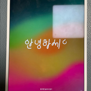 아이패드 프로 2세대 10.5 256g 셀룰러 모델