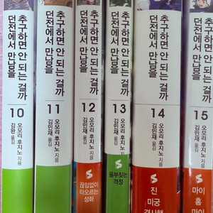 던전에서 만남을 추구하면 안되는걸까 던만추 10~15권