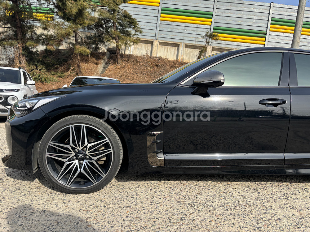 스팅어 마이스터 3.3터보 2WD GT 터보 패키지--6