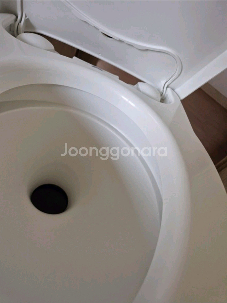 포타포티--5