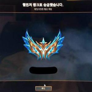 C 롤 LOL 리그오브레전드 듀오 맡김 강의 대리 최저