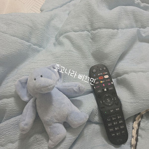 코끼리인형 미니인형