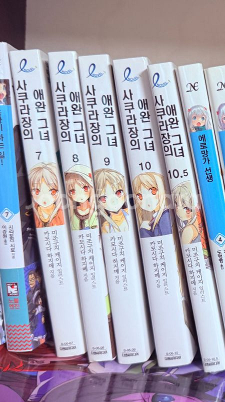 사쿠라장의 애완그녀 7~10.5권--0