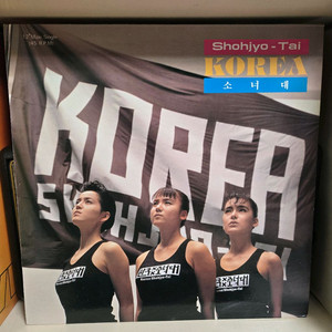 소녀대 LP 음반 민트급