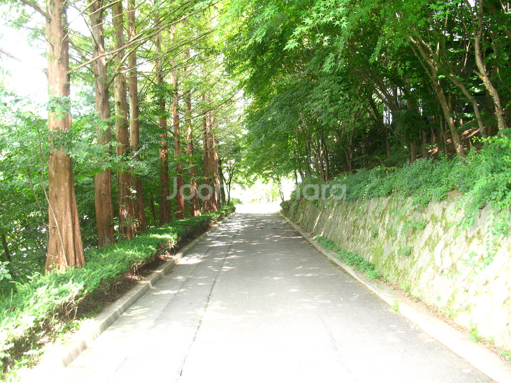 캐논 파워샷 A640--8