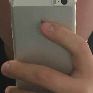 아이폰se1
