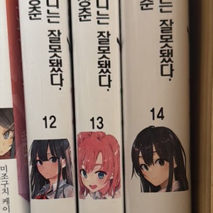 역시 내 청춘 러브코메디는 잘못됐다 12~14권