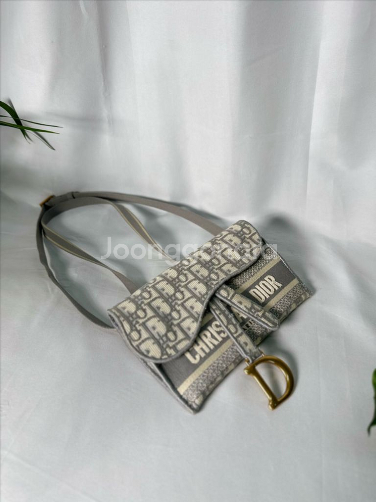 [풀구성]디올 오블리크 새들 그레이 새들백--3