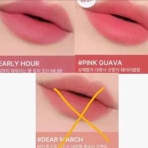 일괄)3ce 블러워터틴트 핑크구아바+얼리아워