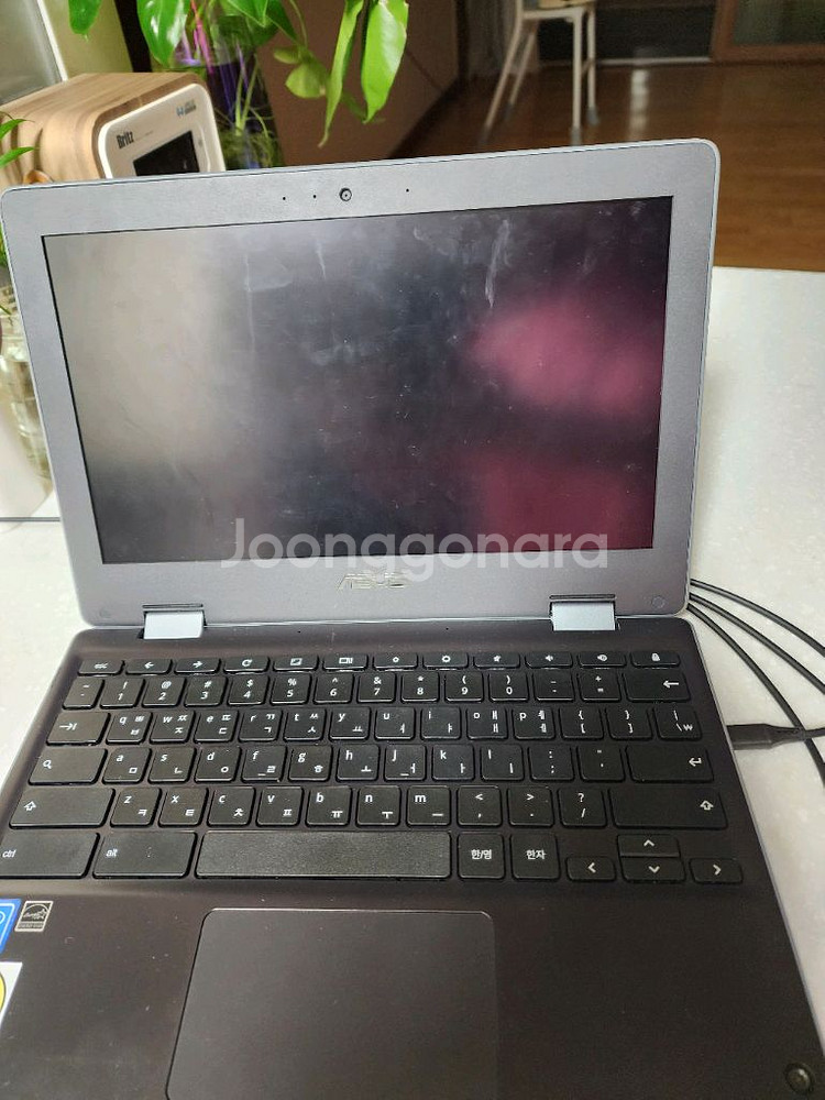 ASUS 크롬북c1l214--0