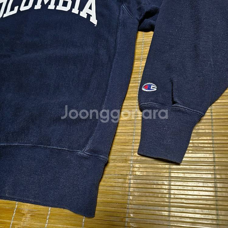챔피언 헤비스웻티 100사이즈--1