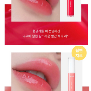 아멜리 나르시시즘 립 틴트 체리틴,에브리코랄