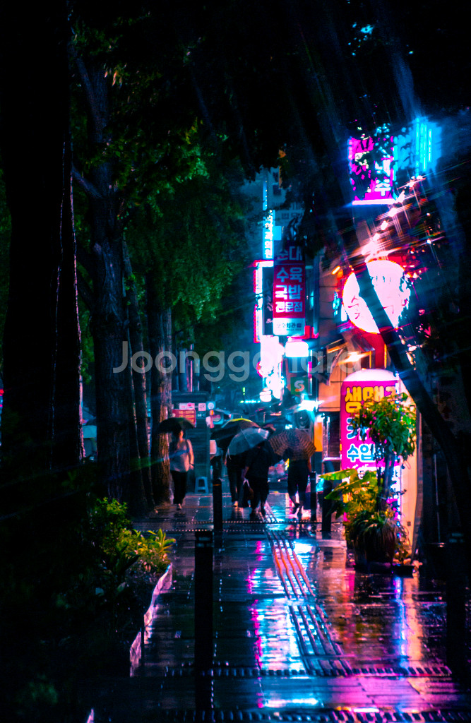 탐론 18-270 f3.5-6.3 니콘 f마운트 슈퍼줌--3