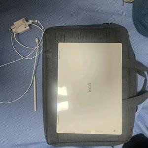 LG그램 프로 360 25년 256GB+2TB 팔아요